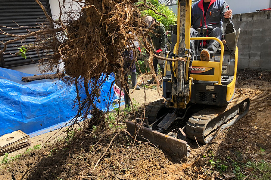 剪定・伐採・抜根